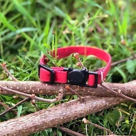 Collier chat – Le rouge